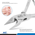 Nail Corner Pliers 13cm Stainless Steel Solid Edge Pointed Tips - Azatek Instruments