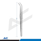 Azatek Professional Dental College Tweezers 15cm showing overall instrument length and angled serrated tips