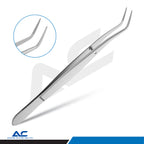 Angled working tip of 16cm Meriam Dental Tweezers designed for controlled dental material handling